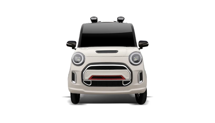 Mini Low-Speed Electric Vehicle