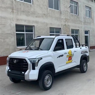 Caminhonetes de passageiros e carga